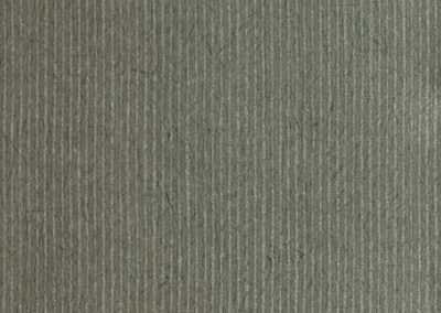 AP127-1
